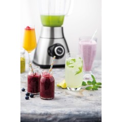 Fritel Family BL 3890 Blender - Powerful Puls Function for Perfect Blending!